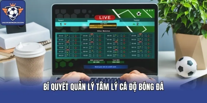 Bí quyết quản lý tâm lý cá độ bóng đá