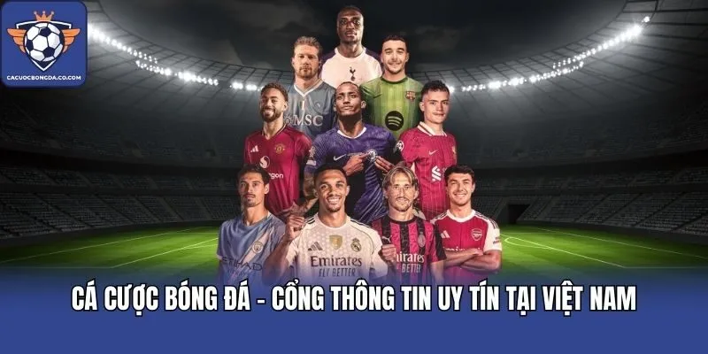 Cá cược bóng đá - Cổng thông tin uy tín tại Việt Nam