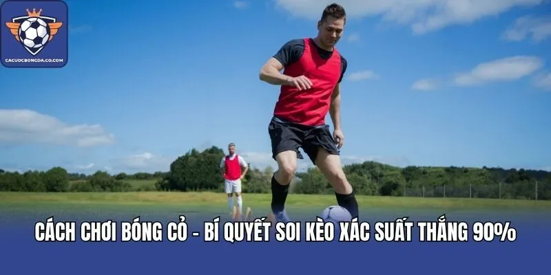 Cách Chơi Bóng Cỏ - Bí Quyết Soi Kèo Xác Suất Thắng 90%