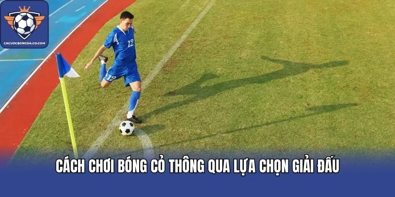 Cách chơi bóng cỏ thông qua lựa chọn giải đấu