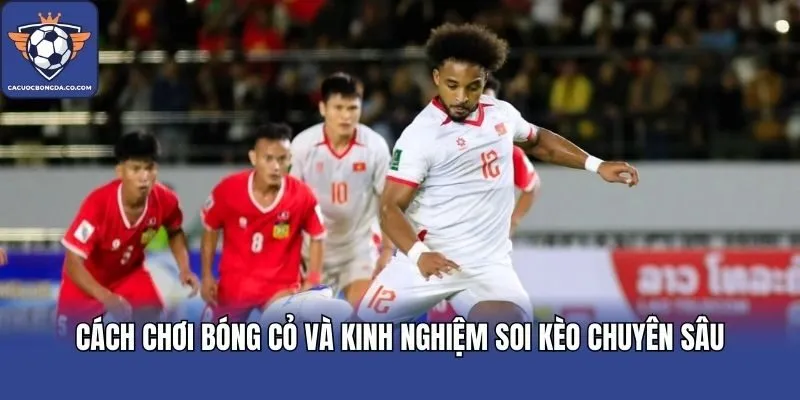 Cách chơi bóng cỏ và kinh nghiệm soi kèo chuyên sâu