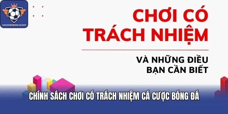 Chính sách chơi có trách nhiệm Cá cược bóng đá