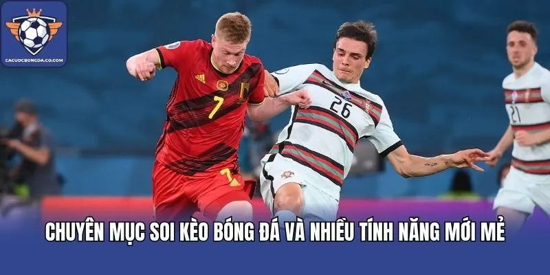 Chuyên mục soi kèo bóng đá và nhiều tính năng mới mẻ