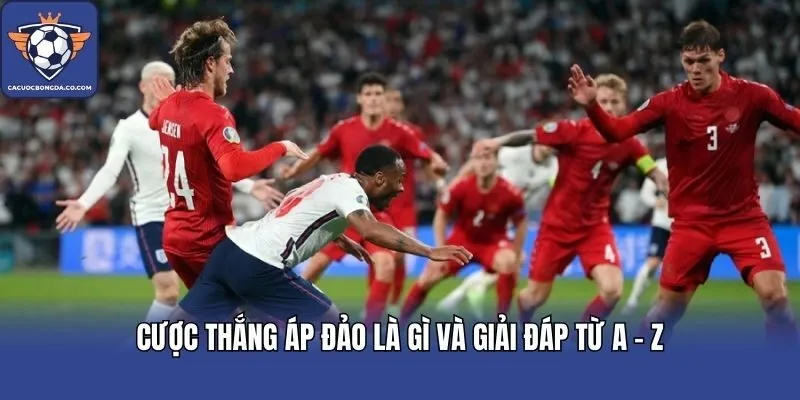 Cược thắng áp đảo là gì và giải đáp từ A - Z