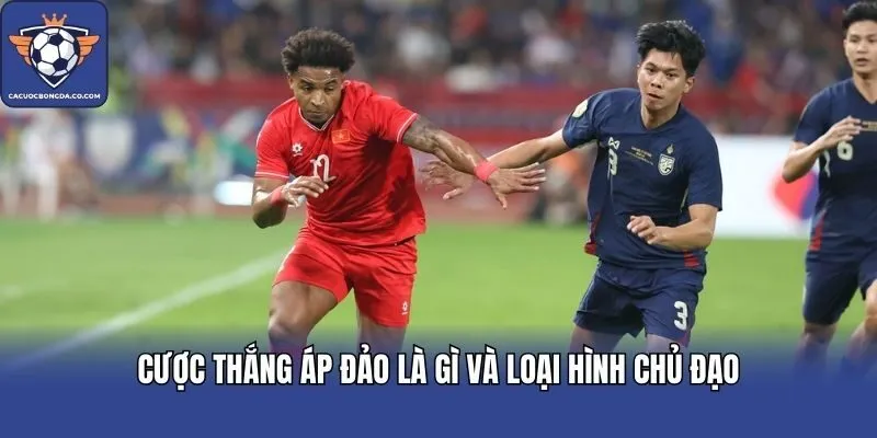 Cược thắng áp đảo là gì và loại hình chủ đạo