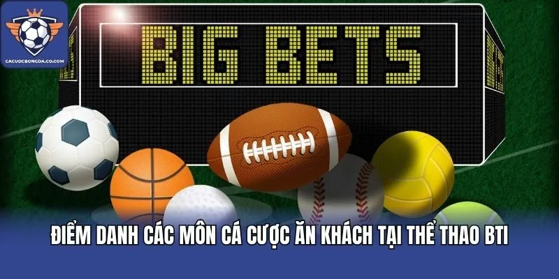 Điểm danh các môn cá cược ăn khách tại thể thao BTi