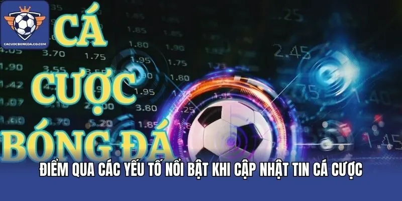 Điểm qua các yếu tố nổi bật khi cập nhật tin cá cược