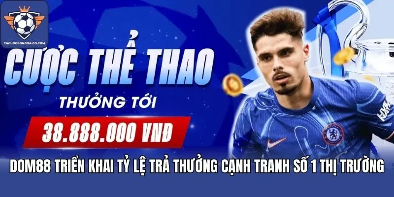 DOM88 triển khai tỷ lệ trả thưởng cạnh tranh số 1 thị trường