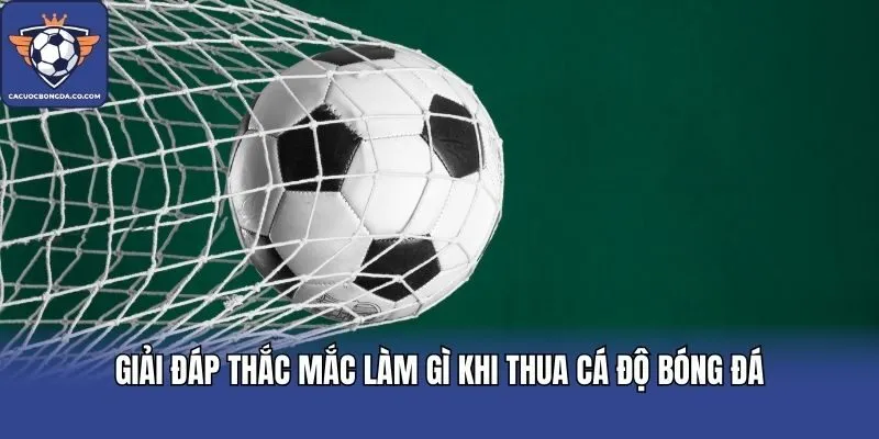 Giải đáp thắc mắc làm gì khi thua cá độ bóng đá