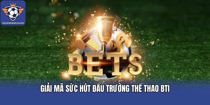 Giải mã sức hút đấu trường thể thao BTi
