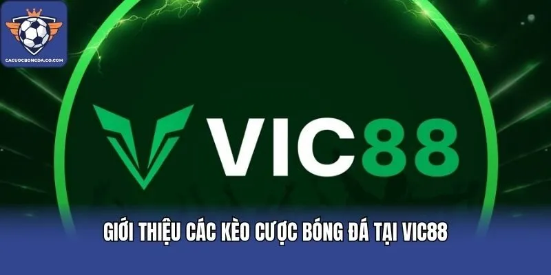Giới thiệu các kèo cược bóng đá tại VIC88