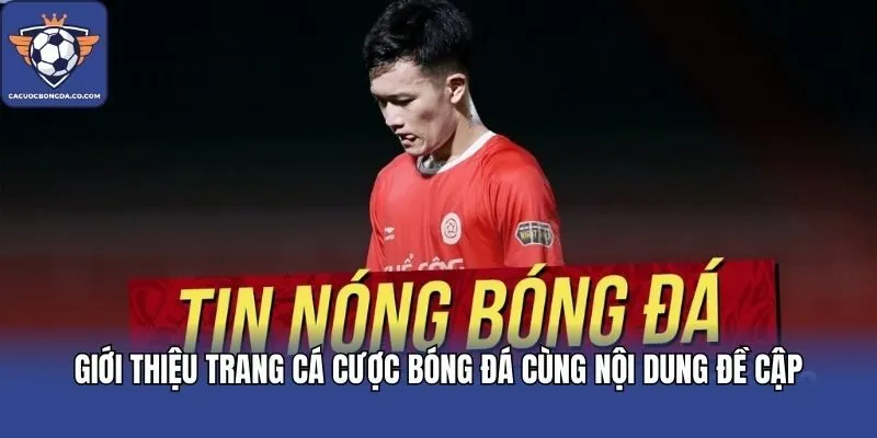 Giới thiệu trang cá cược bóng đá cùng nội dung đề cập