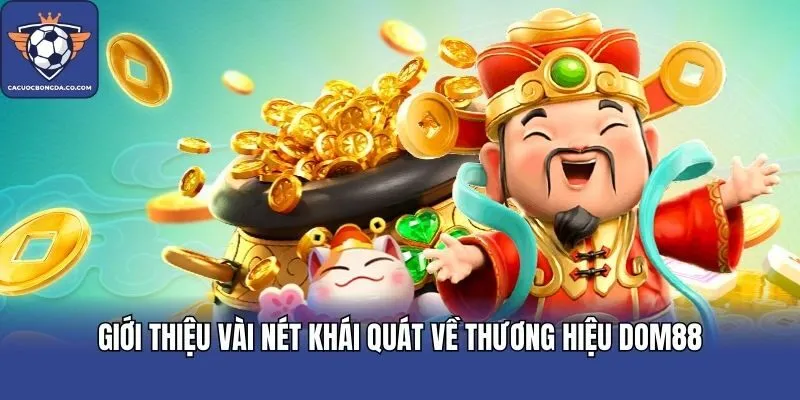 Giới thiệu vài nét khái quát về thương hiệu DOM88
