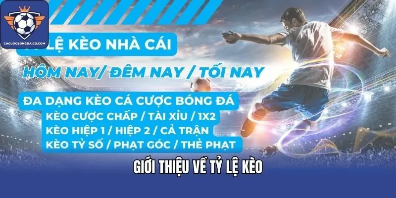 Giới thiệu về tỷ lệ kèo