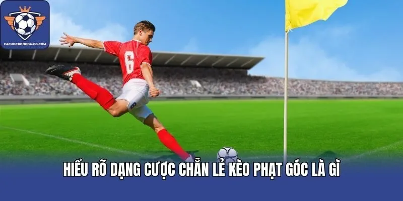 Hiểu rõ dạng cược chẵn lẻ kèo phạt góc là gì