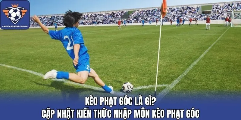Kèo Phạt Góc Là Gì? Cập Nhật Kiến Thức Nhập Môn Kèo Phạt Góc