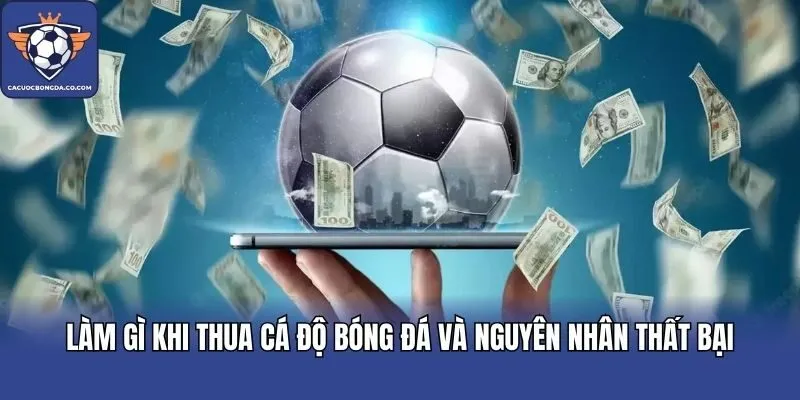 Làm gì khi thua cá độ bóng đá và nguyên nhân thất bại