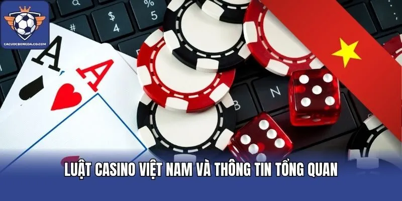 Luật casino Việt Nam và thông tin tổng quan