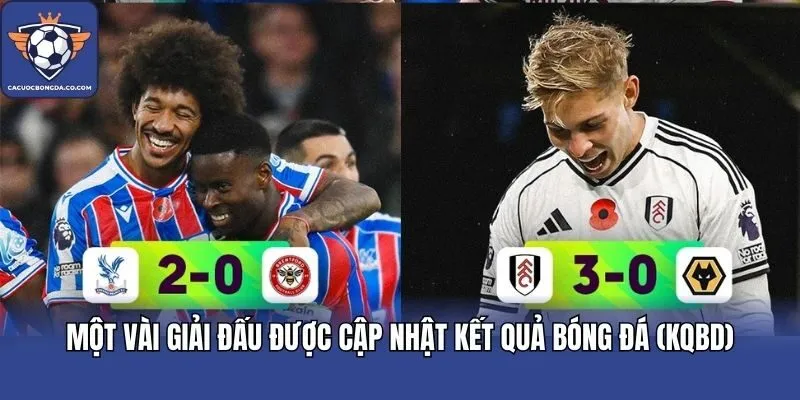 Một vài giải đấu được cập nhật kết quả bóng đá (Kqbd)