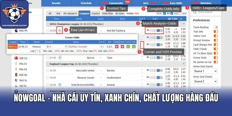 Nowgoal - Nhà Cái Uy Tín, Xanh Chín, Chất Lượng Hàng Đầu