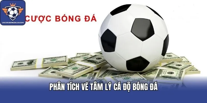 Phân tích về tâm lý cá độ bóng đá