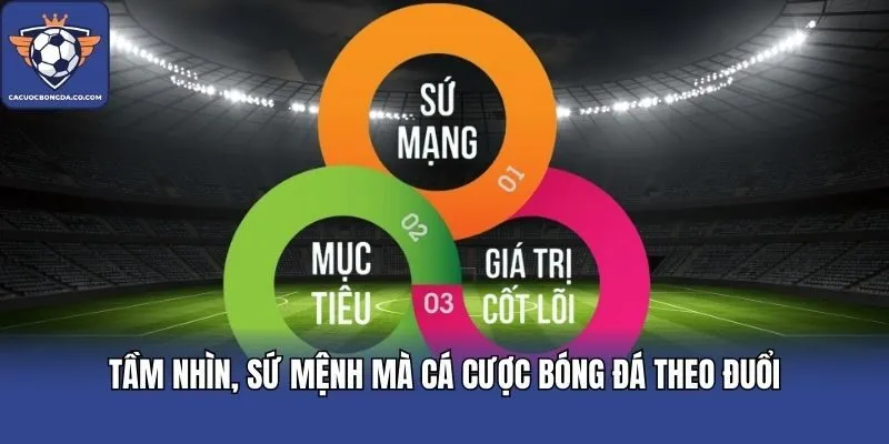 Tầm nhìn, sứ mệnh mà Cá cược bóng đá theo đuổi