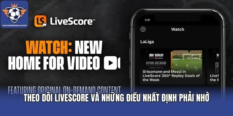 Theo dõi Livescore và những điều nhất định phải nhớ