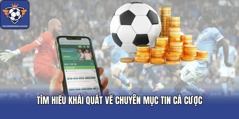 Tìm hiểu khái quát về chuyên mục tin cá cược