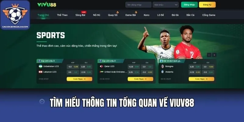 Tìm hiểu thông tin tổng quan về VIUV88