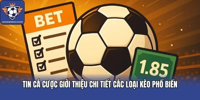 Tin cá cược giới thiệu chi tiết các loại kèo phổ biến