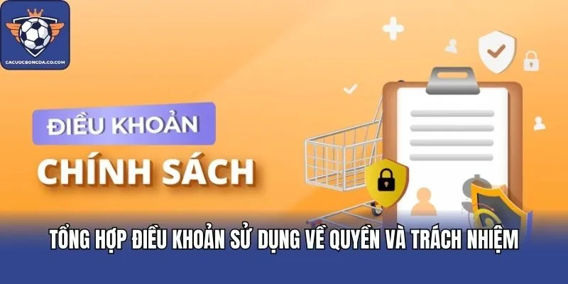 Tổng hợp điều khoản sử dụng về quyền và trách nhiệm