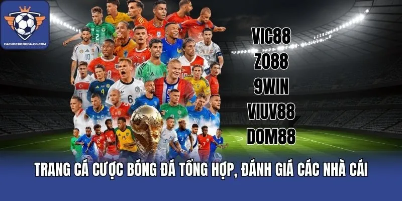 Trang Cá cược bóng đá tổng hợp, đánh giá các nhà cái