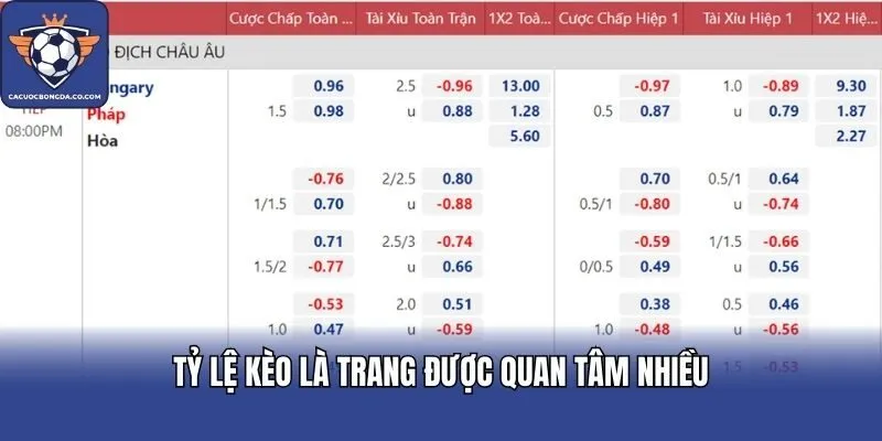 Tỷ lệ kèo là trang được quan tâm nhiều
