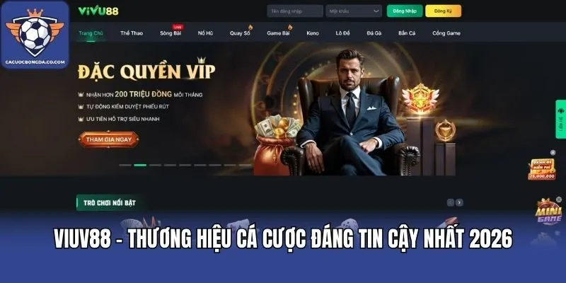 VIUV88 - Thương Hiệu Cá Cược Đáng Tin Cậy Nhất 2026
