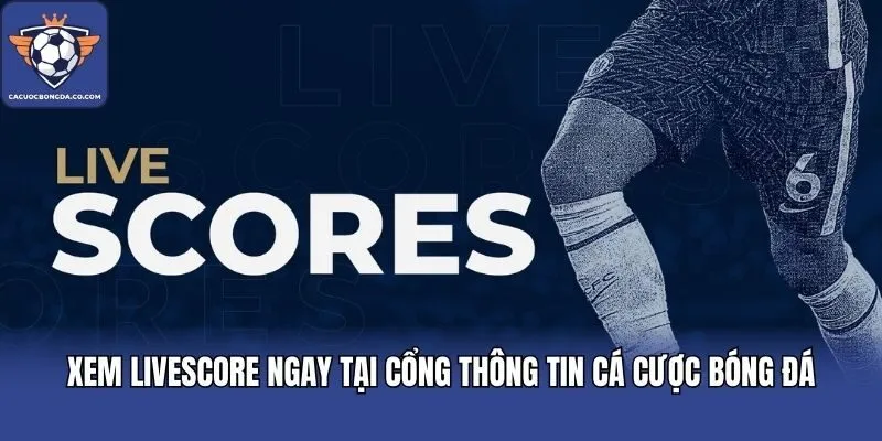 Xem livescore ngay tại cổng thông tin Cá cược bóng đá